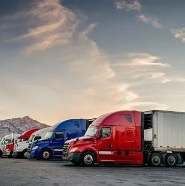 VIT USA team member